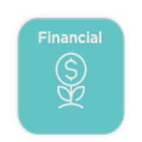 Financial Wellbeing Benefit Pillar