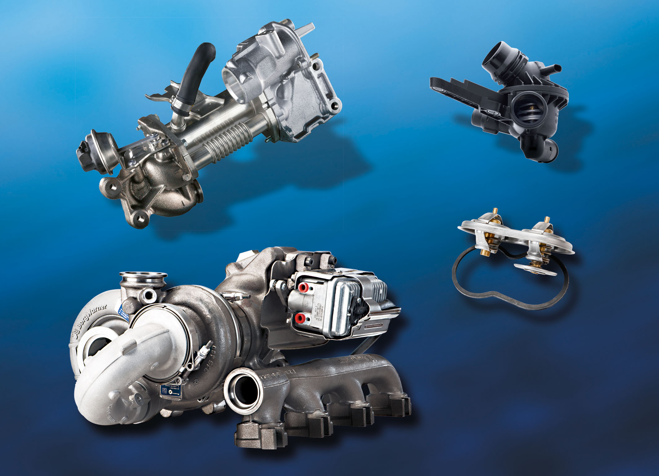 BorgWarner expands its European aftermarket product portfolio with emissions products in addition to turbochargers.