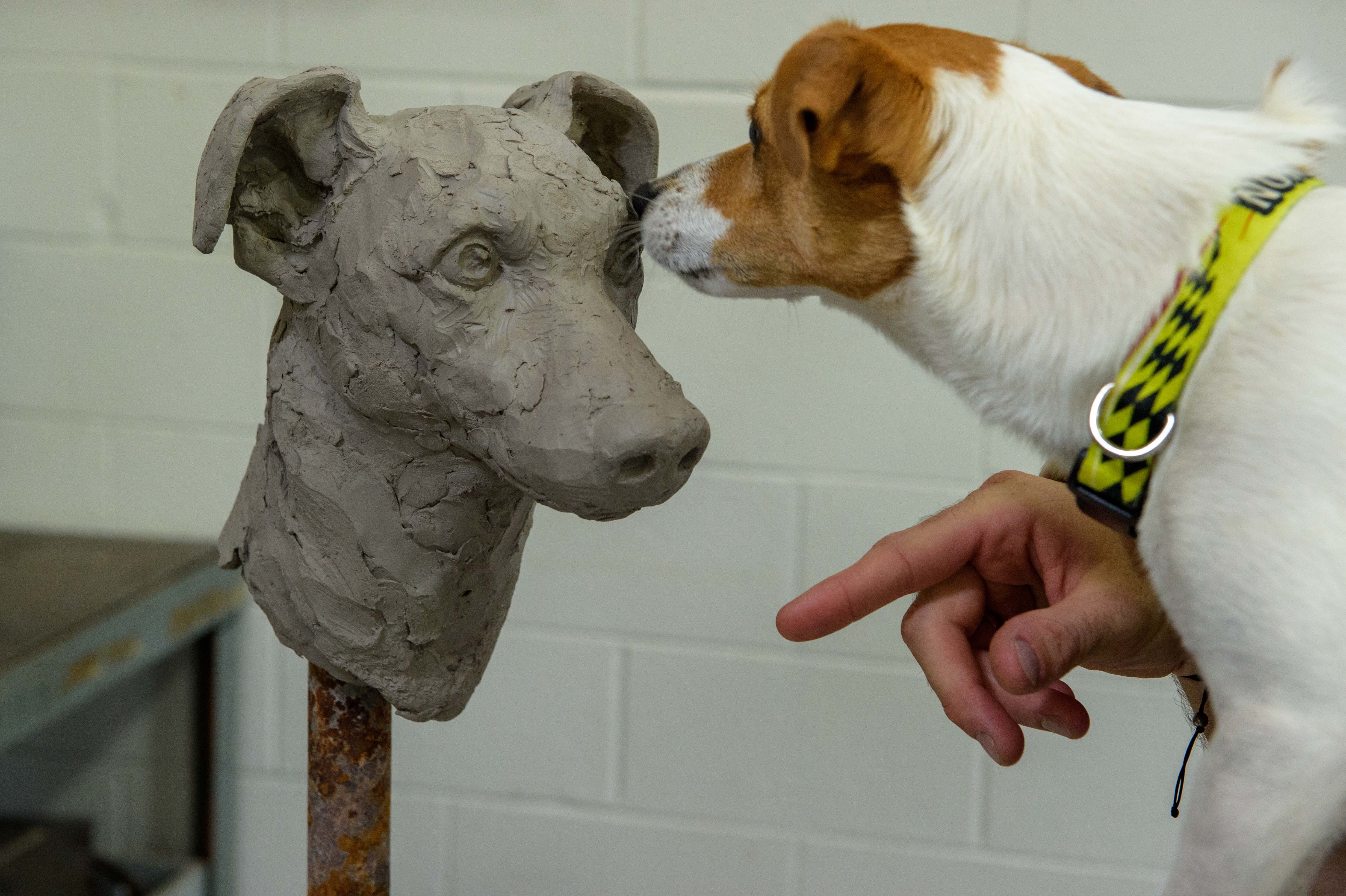 a dog looking at a clay sculpture of a dog's head
