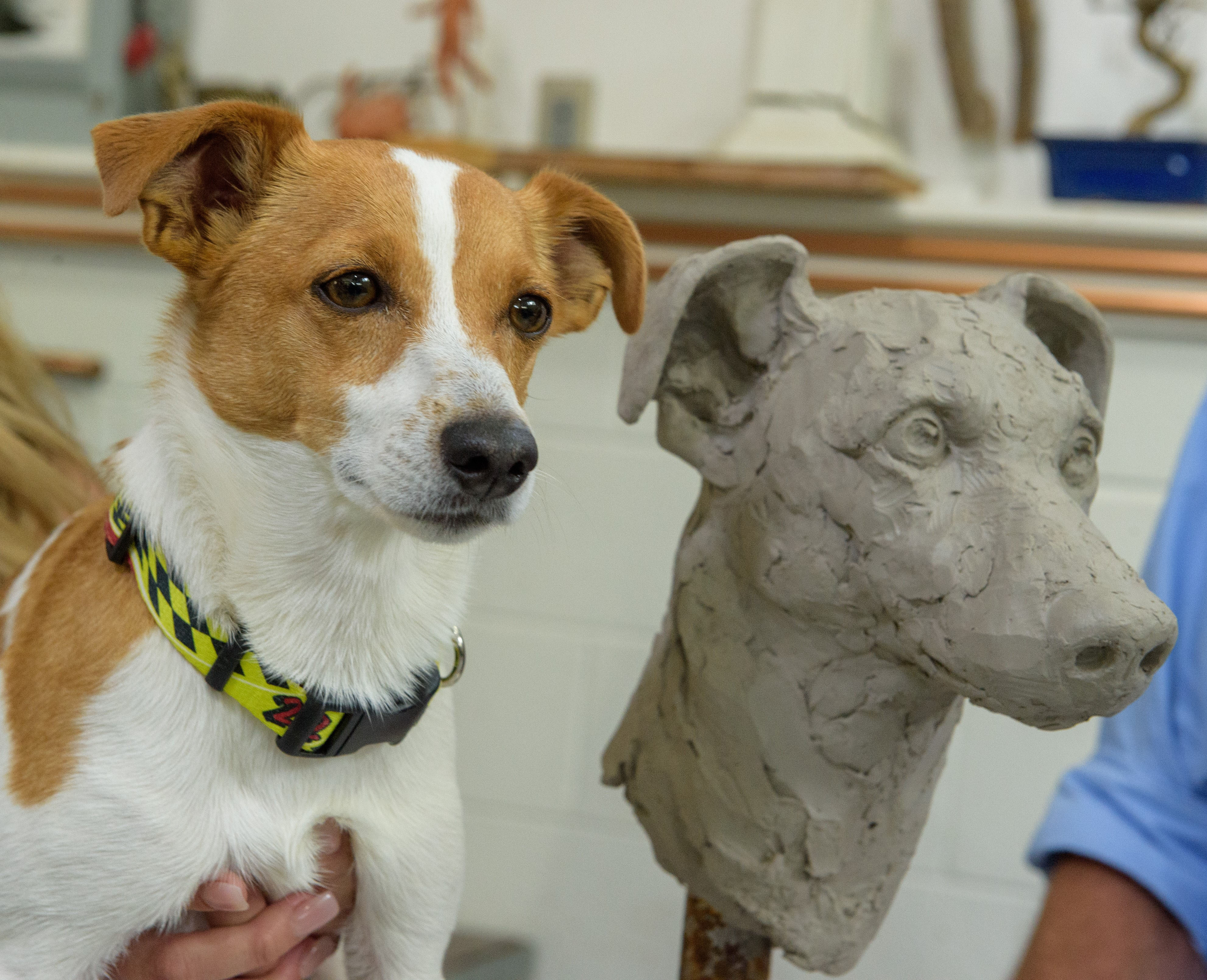 a dog next to a sculpture of a dog