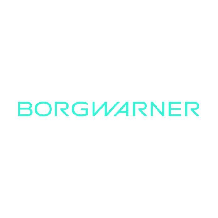 BorgWarner Unveils New Logo